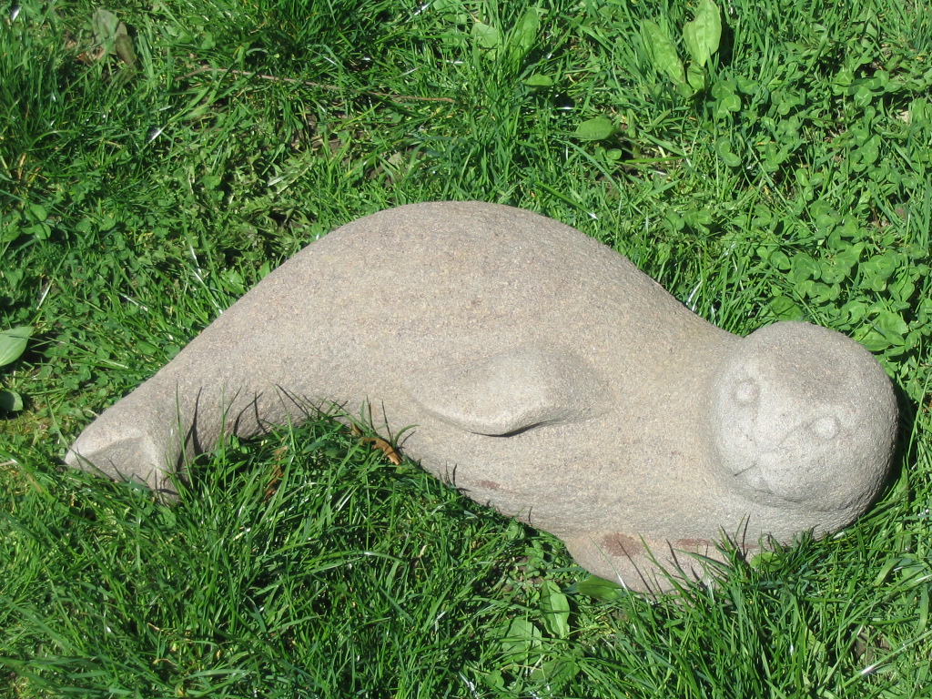 Seehund (2).JPG